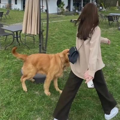 我们无法一起学习第一季
