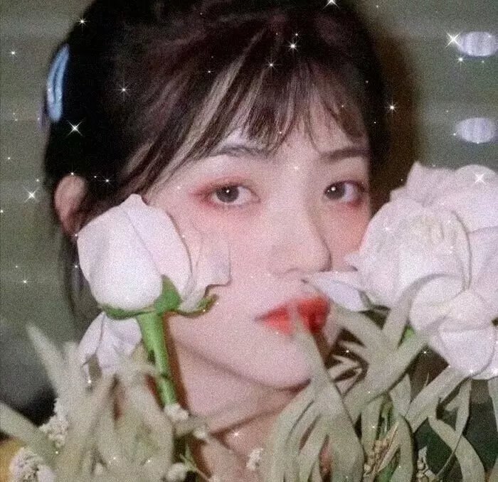 冻结的希望